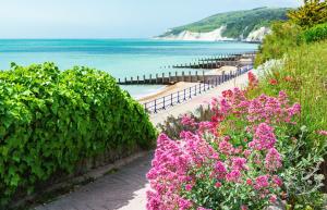 Where Nature's Serenity Meets Home:  Step into a paradise of pristine parks and gardens, with the majestic South Downs National Park and iconic Beachy Head on your doorstop.